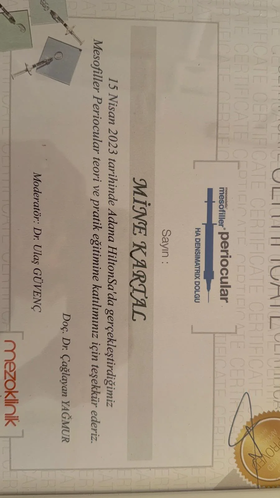 Dr. Mine Kartal eğitim sertifikası
