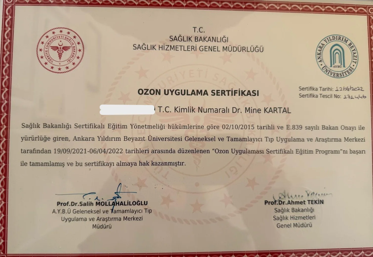 Dr. Mine Kartal eğitim sertifikası