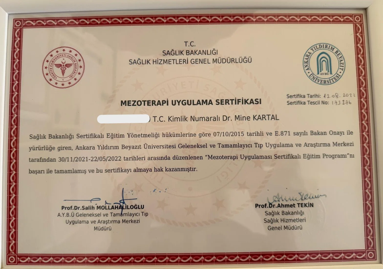 Dr. Mine Kartal eğitim sertifikası